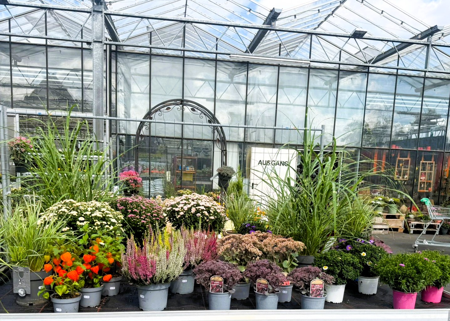 Monheimer Blumenmarkt